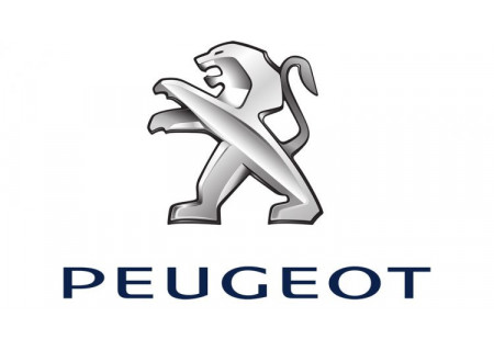 Housses de clés Peugeot